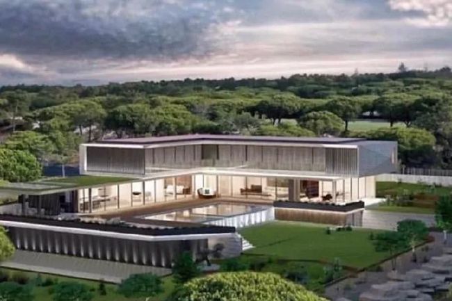 国内一级片在线观看