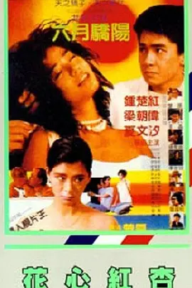 一区二区欧美视频
