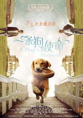 屎奴—视频丨vk