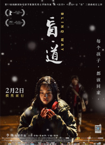 国内精品久久久久久网站